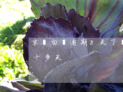 京東白條逾期8天了會怎么樣(京東白條逾期十多天)