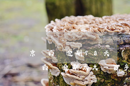 京東白條逾期98天會(huì)怎么辦 京東白條逾期太久一百多天怎么辦