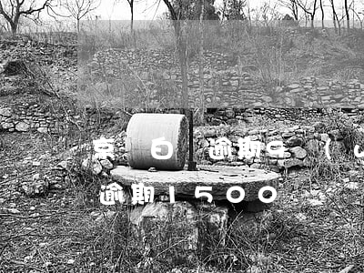 京東白條逾期9萬(wàn)罰息(京東白條逾期1500)