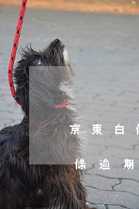 京東白條逾期一個(gè)多月（金東白條金條逾期）