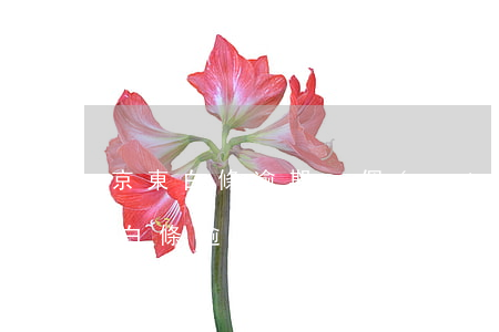 京東白條逾期一個(gè)月律師信-京東白條逾期5000多兩個(gè)多月沒還,還發(fā)了律師函給我