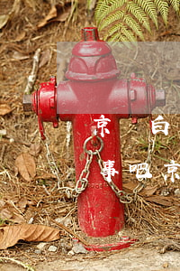 京東白條逾期一個(gè)月沒(méi)事吧（京東白條逾期了4個(gè)月怎么辦）