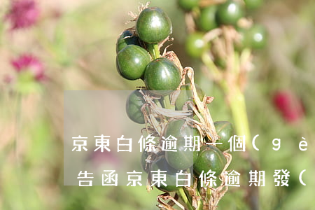 京東白條逾期一個(gè)月發(fā)通告函(京東白條逾期發(fā)通告函會(huì)通知你嗎)