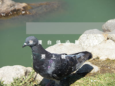 京東白條逾期一個(gè)月說(shuō)要上報(bào)失信-京東白條逾期一個(gè)月說(shuō)要上報(bào)失信人員