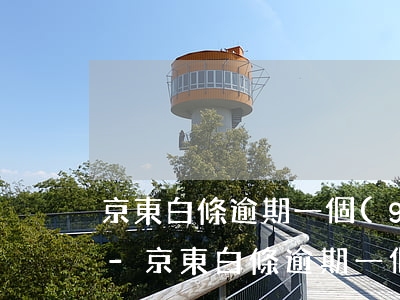 京東白條逾期一個(gè)月還了還能借嗎-京東白條逾期一個(gè)月還了還能借嗎安全嗎