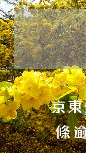 京東白條逾期一個月什么時候上門-京東白條逾期一個月什么時候上門催收