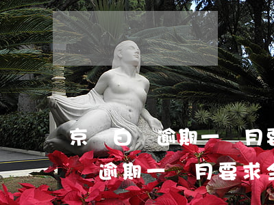 京東白條逾期一個月要求全部還清-京東白條逾期一個月要求全部還清跟京東協(xié)商
