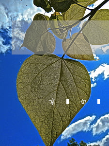 京東白條逾期一千五會上門嗎
