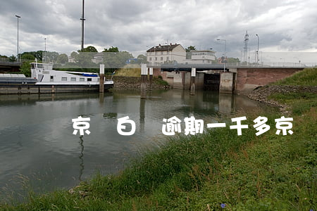 京東白條逾期一千多 京東白條逾期一千多