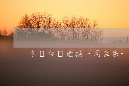 京東白條逾期一周后果-京東白條逾期一周