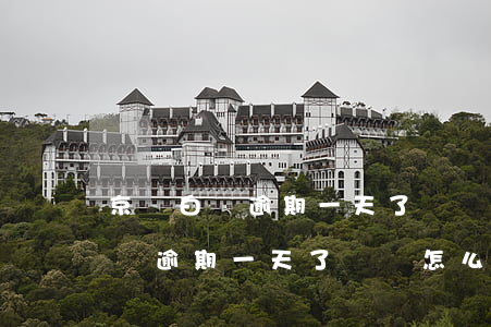 京東白條逾期一天了應該怎么分期-京東白條逾期一天了應該怎么分期還款