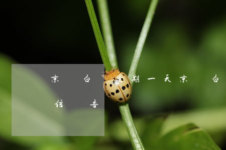 京東白條逾期一天(京東白條逾期一天會上征信報告嗎?)