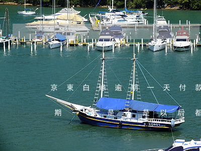 京東白條逾期一天付款止付了-京東白條逾期一天是不是以后都不能再接了