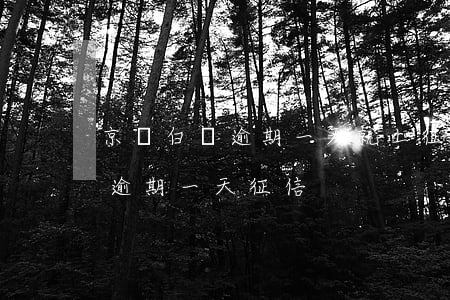 京東白條逾期一天就上征信合理嗎 京東白條 逾期一天 征信