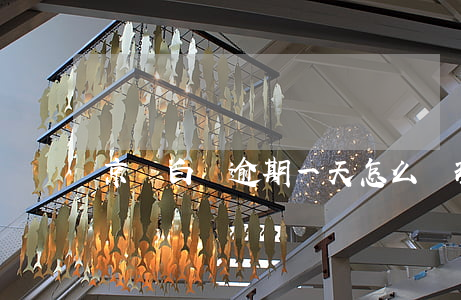 京東白條逾期一天怎么處理(京東白條逾期咋辦)