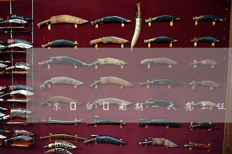 京東白條逾期一天有上征信么