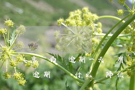 京東白條逾期一天沒有額度了(京東白條沒有逾期過為什么會降低額度)