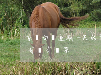 京東白條逾期一天的影響 京東白條逾期一天有沒有關系