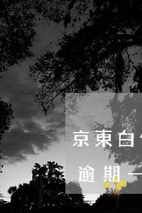 京東白條逾期一天還款上征信嗎-京東白條逾期一天還款上征信嗎有影響嗎