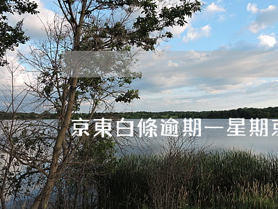 京東白條逾期一星期（京東白條短期逾期）