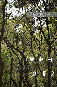 京東白條逾期一次結(jié)清(京東白條逾期24小時內(nèi)還清)