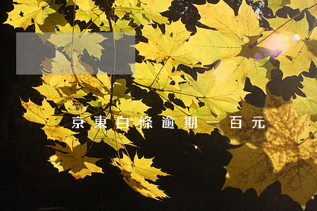 京東白條逾期一百元