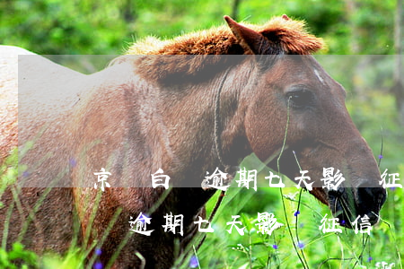 京東白條逾期七天影響征信記錄嗎-京東白條逾期七天影響征信記錄嗎