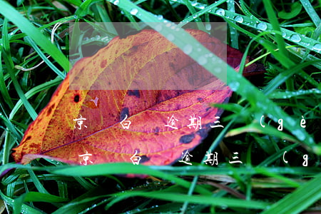 京東白條逾期三個(gè)月還不上怎么辦 京東白條逾期三個(gè)月還清后還可以使用嗎