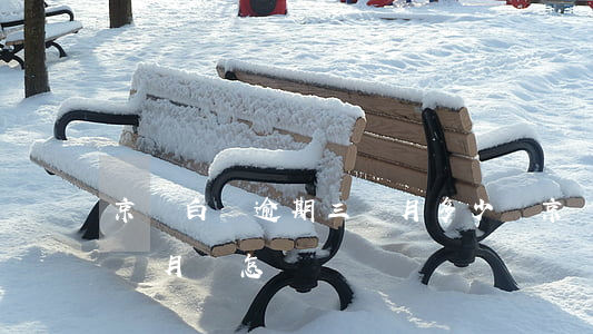 京東白條逾期三個月多少錢(京東白條逾期三個月會怎樣)