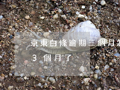 京東白條逾期三個月怎么解決(京東白條逾期3個月了)