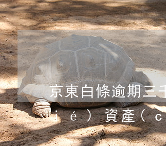 京東白條逾期三千會(huì)被凍結(jié)資產(chǎn)嗎-京東白條逾期三千會(huì)被凍結(jié)資產(chǎn)嗎知乎