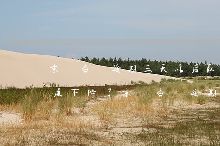 京東白條逾期三天以后,取現(xiàn)額度下降了（京東白條逾期會(huì)取現(xiàn)嗎）