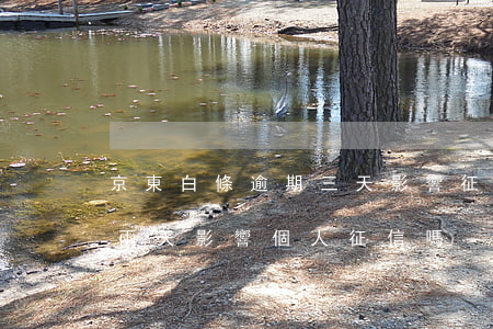京東白條逾期三天影響征信嗎(京東白條逾期兩天影響個人征信嗎)