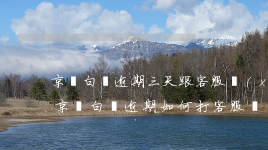 京東白條逾期三天跟客服協(xié)商了(京東白條逾期如何打客服電話協(xié)商半個月后還款)