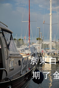 京東白條逾期三天金條不能借款(京東白條逾期了金條還能借款嗎)