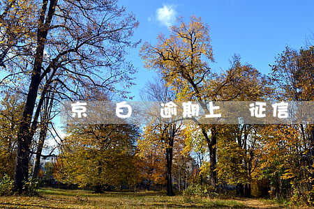 京東白條逾期上報征信