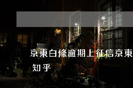 京東白條逾期 上征信（京東白條逾期一天征信知乎）