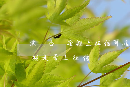 京東白條逾期上征信可以消除嗎(京東白條逾期是否上征信)