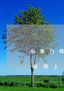京東白條逾期上征信可以貸款嗎-京東白條逾期上征信可以貸款嗎安全嗎