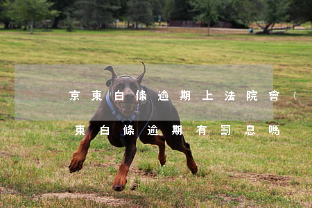 京東白條逾期上法院會(huì)罰款嗎（京東白條逾期有罰息嗎）