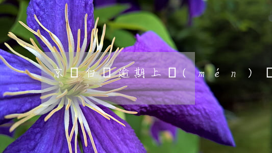 京東白條逾期上門(mén)備案