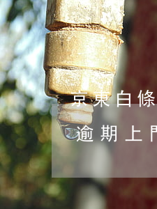 京東白條逾期上門家訪是真的嗎-京東白條逾期上門家訪是真的嗎嗎