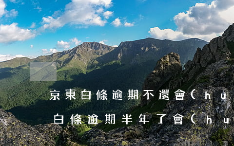京東白條逾期不還會(huì)整么樣(京東白條逾期半年了會(huì)有什么后果?)