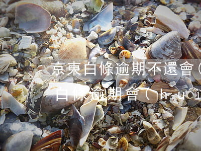 京東白條逾期不還會(huì)起訴嗎(京東白條逾期會(huì)被起訴嗎?真還不上怎么辦)