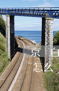 京東白條逾期不還會怎么處理（京東白條逾期怎么還）