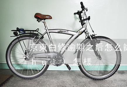 京東白條逾期之后怎么辦(京東白條逾期會(huì)怎樣?)