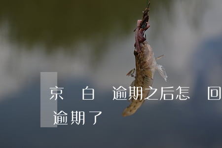 京東白條逾期之后怎樣回復(京東白條不小心逾期了)