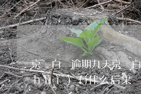京東白條逾期九天(京東白條逾期九天了會(huì)有什么后果?)
