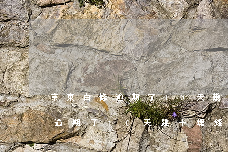 京東白條逾期了10天幾十塊錢-京東白條逾期了10天幾十塊錢怎么辦