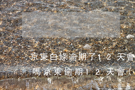 京東白條逾期了12天會(huì)上征信嗎（京東逾期12天會(huì)上征信）